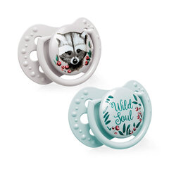 Silikoonist dünaamilised lutid Lovi Wild Soul Boy, 6-18 kuud, 2 tk, 22/884boy price and information | Pacifiers | hansapost.ee