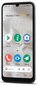 Doro 8110 4G 2/32GB Grey цена и информация | Telefonid | hansapost.ee