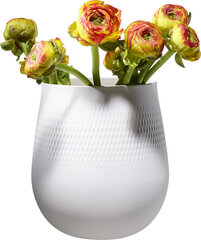 Villeroy &amp; Boch vaza 23 cm hind ja info | Villeroy & Boch Sisustuskaubad | hansapost.ee