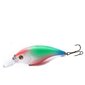 Vobler Banshee Crankbait Bass 60mm 10g VC01 Rainbow, Ujuv цена и информация | Landid, voblerid | hansapost.ee