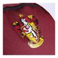 Harry Potter Gryffindor seljakott 44cm цена и информация | Koolikotid ja seljakotid | hansapost.ee