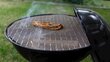 Grillrest - sõel Grill 42 x 36 cm цена и информация | Grillitarvikud ja grillnõud | hansapost.ee