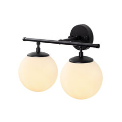 Настенный светильник 942FLG2157 цена и информация | Настенные светильники | hansapost.ee