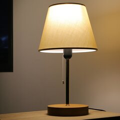 Opviq настольная лампа AYD - 2647 цена и информация | Настольные лампы | hansapost.ee