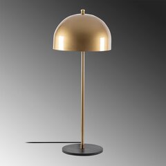 Настольная лампа 521SHN2210 цена и информация | Настольная лампа | hansapost.ee
