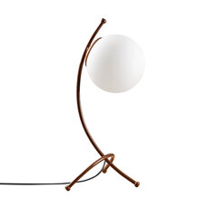 Лампа настольная 584ТТМ1723 цена и информация | Настольная лампа | hansapost.ee