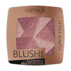 CATRICE Põsepuna Glowing + Multicolour 020 цена и информация | Бронзеры (бронзаторы), румяна | hansapost.ee