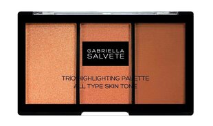 Põsepuna Gabriella Salvete Trio Highlighting Palette, 15 g - W hind ja info | Päikesepuudrid ja põsepunad | hansapost.ee