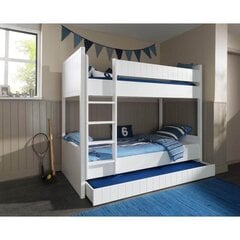 Двухэтажная кровать ROBIN-VIP цена и информация | Детские кровати | hansapost.ee