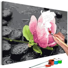 Tee ise - maal lõuendil - Roosa lill ja kivid 60x40 cm hind ja info | Maalimiskomplektid numbrite järgi | hansapost.ee