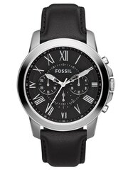 Fossil мужские часы цена и информация | Мужские часы | hansapost.ee