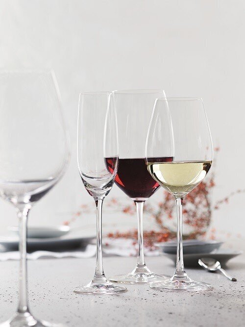 Spiegelau Valge veini klaasid Salute, 4tk. hind ja info | Klaasid, kruusid ja kannud | hansapost.ee