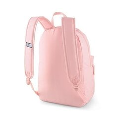 Seljakott Puma Phase Backpack Chalk Pink, 22 l цена и информация | Puma Спорт, досуг, туризм | hansapost.ee