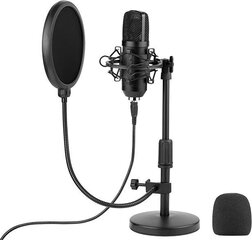 Микрофон для игр, трансляций, подкастов Tracer Studio Pro USB + держатель, поп фильтр цена и информация | Tracer Компьютерная техника | hansapost.ee