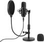 Tracer Studio Pro USB mikrofon mängude / taskuhäälingusaadete / voogesituste jaoks + hoidik, popfilter цена и информация | Mikrofonid | hansapost.ee