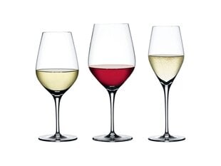 Spiegelau Authentis veiniklaasid, 12 klaasi цена и информация | Стаканы, фужеры, кувшины | hansapost.ee