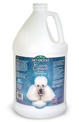 Bio Groom шампунь Econogroom, 3,8 л цена и информация | Bio Groom Товары для животных | hansapost.ee