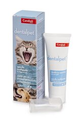 DentalPet 50 мл цена и информация | Средства по уходу за животными | hansapost.ee