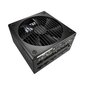 Fractal Design FD-P-IA2G-850-EU цена и информация | Toiteplokid | hansapost.ee