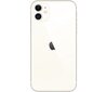 Apple iPhone 11 128GB White MHDJ3ET/A цена и информация | Telefonid | hansapost.ee