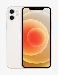 Apple iPhone 12 128GB White MGJC3ET/A hind ja info | Telefonid | hansapost.ee