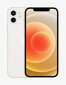 Apple iPhone 12 128GB White MGJC3ET/A цена и информация | Telefonid | hansapost.ee
