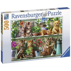 Ravensburger pusle 500 tk Kassid riiulil hind ja info | Pusled lastele ja täiskasvanutele | hansapost.ee