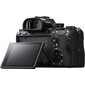 Sony A7R Mark III A Body, Black цена и информация | Fotoaparaadid | hansapost.ee