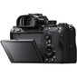 Sony A7R Mark III A Body, Black цена и информация | Fotoaparaadid | hansapost.ee