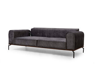 Трехместный диван Kalune Design Siesta, серый цена и информация | Диваны | hansapost.ee