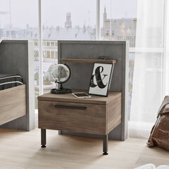 Ночной шкаф Kalune Design HM5, коричневый/серый цена и информация | Прикроватные тумбочки | hansapost.ee