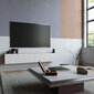 TV-laud Kalune Design FR8, pruun/valge hind ja info | Televiisori alused | hansapost.ee