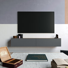 TV-laud Kalune Design FR8, pruun/hall hind ja info | Televiisori alused | hansapost.ee