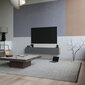 TV-laud Kalune Design FR8, pruun/hall hind ja info | Televiisori alused | hansapost.ee