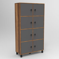 Шкаф Kalune Design MN06, коричневый/серый цена и информация | Шкафчики в гостиную | hansapost.ee