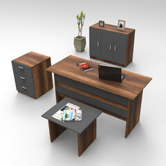 Набор мебели Kalune Design VO12, коричневый/серый цена и информация | Детские письменные столы | hansapost.ee