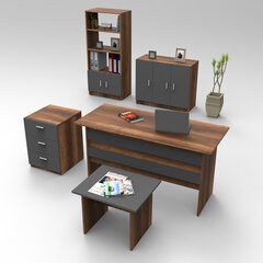 Набор мебели Kalune Design VO14, коричневый/серый цена и информация | Детские письменные столы | hansapost.ee