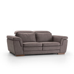 Двухместный диван Kalune Design Mardini, серый цена и информация | Диваны | hansapost.ee