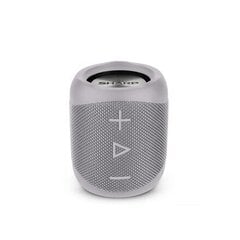 Sharp GX-BT180GR, hall цена и информация | Аудиоколонки | hansapost.ee
