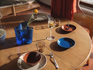 Iittala тарелка Teema, 15 см цена и информация | Посуда, тарелки, обеденные сервизы | hansapost.ee