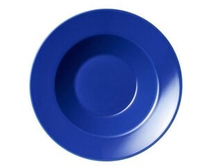Taldrik Arabia KoKo, 24 cm цена и информация | Посуда, тарелки, обеденные сервизы | hansapost.ee