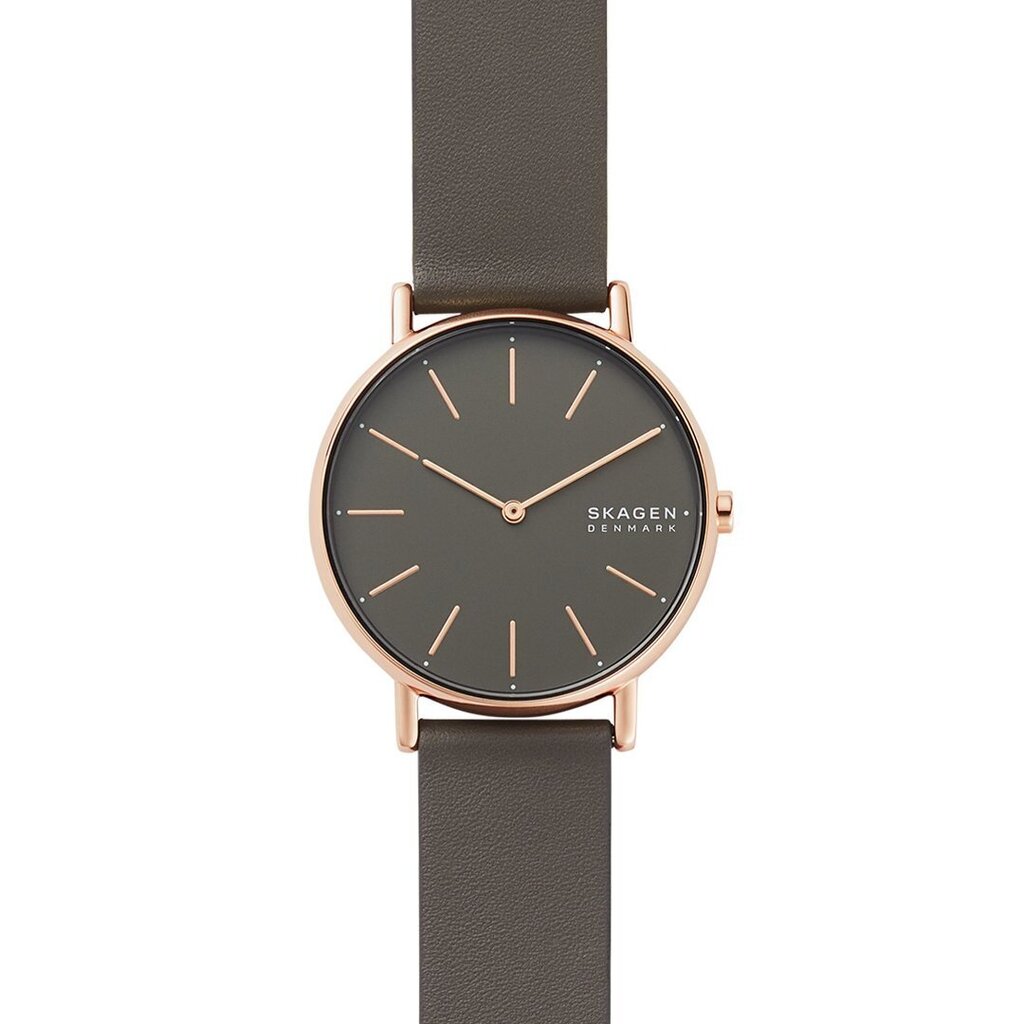 Skagen Signatur naiste käekell 890855490 цена и информация | Käekellad naistele | hansapost.ee