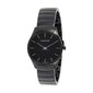 Calvin Klein Classic naiste käekell 890799959 цена и информация | Käekellad naistele | hansapost.ee