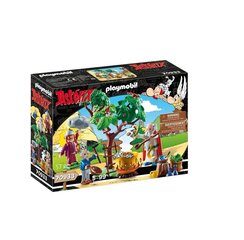 70933 PLAYMOBIL, Asterix: Getafix with the caldron of Magic Potion цена и информация | Конструкторы и кубики | hansapost.ee