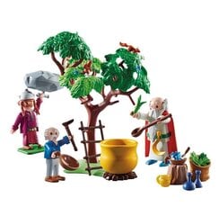 70933 PLAYMOBIL, Asterix: Getafix with the caldron of Magic Potion цена и информация | Конструкторы и кубики | hansapost.ee