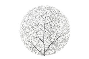 4 Living настольный коврик Tree Silver, 38x38 см цена и информация | Скатерти, салфетки | hansapost.ee