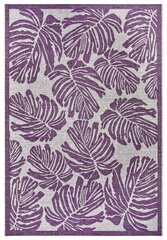 Northrugs vaip Jaffa Purple Violet Cream 160x230 cm hind ja info | Vaibad | hansapost.ee