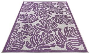 Northrugs vaip Jaffa Purple Violet Cream 200x290 cm hind ja info | Vaibad | hansapost.ee