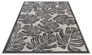 Northrugs vaip Jaffa Black Cream 140x200 cm hind ja info | Vaibad | hansapost.ee