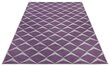 Northrugs vaip Jaffa Purple Violet Cream 70x140 cm hind ja info | Vaibad | hansapost.ee